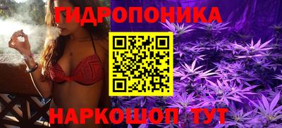 шишки Чебаркуль