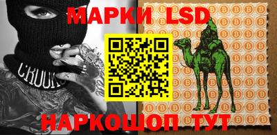 спиды Шахты